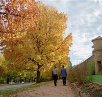 Indigo Gold Trail - Accommodation Nelson Bay