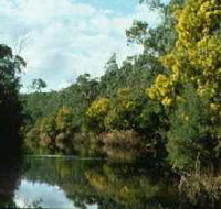 Warrandyte State Park - Accommodation Nelson Bay