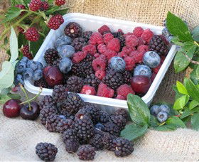 Porepunkah VIC Accommodation Nelson Bay