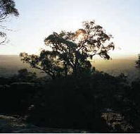 Yarra Flats - Accommodation Nelson Bay