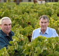 Campbells Wines - Accommodation Nelson Bay
