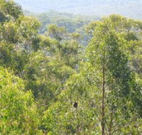 Bunyip State Park - Accommodation Nelson Bay