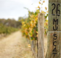 Stanton and Killeen Wines - Accommodation Nelson Bay
