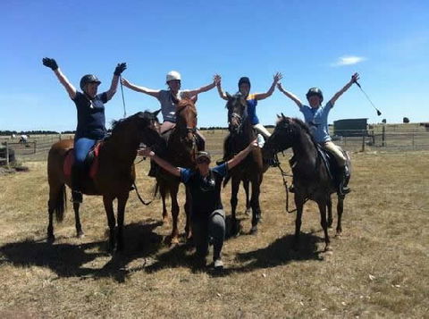 Saddle On Riding School - Accommodation Nelson Bay 1
