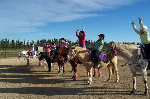 Saddle On Riding School - Accommodation Nelson Bay 3