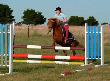 Saddle On Riding School - Accommodation Nelson Bay 5