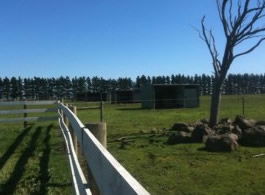 Saddle On Riding School - Accommodation Nelson Bay 6
