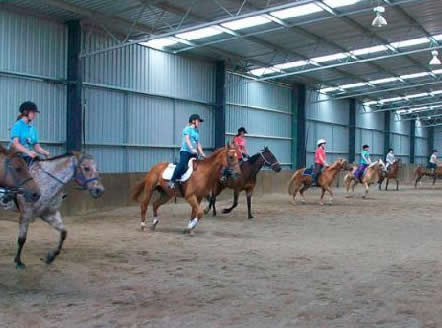 Saddle On Riding School - Accommodation Nelson Bay 7