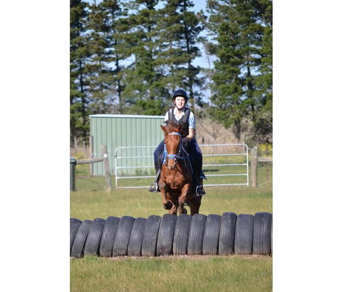 Saddle On Riding School - Accommodation Nelson Bay 9