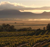Montara Wines - Accommodation Nelson Bay
