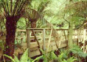 Mount Worth State Park - Accommodation Nelson Bay 0