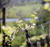 Coldstream Hills - Accommodation Nelson Bay