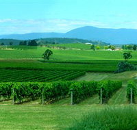 Acacia Ridge Vineyard