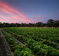Amherst Winery - Accommodation Nelson Bay
