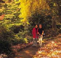 George Tindale Memorial Gardens - Accommodation Nelson Bay
