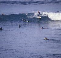 Point Addis Marine National Park - Accommodation Nelson Bay