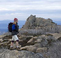 Mount Buffalo National Park - Accommodation Nelson Bay