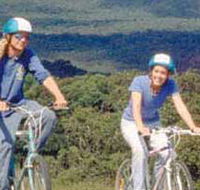 Lysterfield Park - Accommodation Nelson Bay