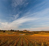 Sanguine Estate - Accommodation Nelson Bay