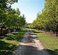Waybourne Winery - Accommodation Nelson Bay