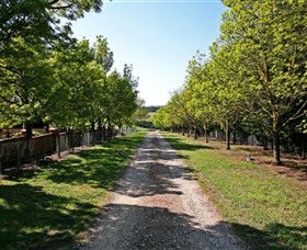 Waybourne Winery - Accommodation Nelson Bay 0