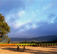 Mount Avoca - Accommodation Nelson Bay