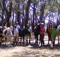 Bellarine Horse Riding Centre - Accommodation Nelson Bay