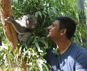 Healesville Sanctuary - Accommodation Nelson Bay 0