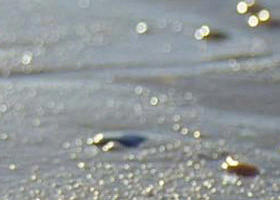 Cape Liptrap Coastal Park - Accommodation Nelson Bay 0