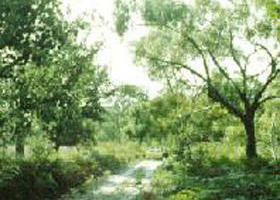 Rosedale VIC Accommodation Nelson Bay