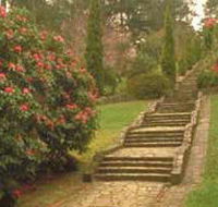 Maroondah Reservoir Park - Accommodation Nelson Bay