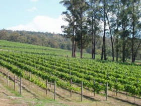 Piedmont Vineyard - Accommodation Nelson Bay 0