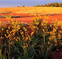 Royal Botanic Gardens Victoria Cranbourne - Accommodation Nelson Bay