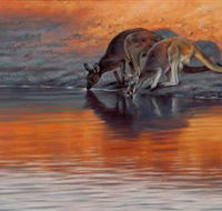 Steve Morvell Wildlife Art - Accommodation Nelson Bay