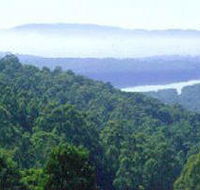 Kalorama Park - Accommodation Nelson Bay