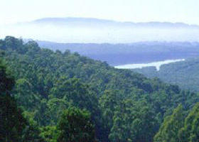 Kalorama Park - Accommodation Nelson Bay 0