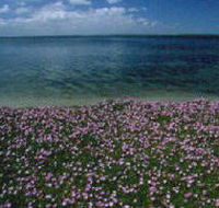The Lakes National Park - Accommodation Nelson Bay