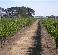 Mount Beckworth Wines - Accommodation Nelson Bay