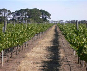 Mount Beckworth Wines - Accommodation Nelson Bay 0