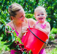 Cherryhill Orchards - Accommodation Nelson Bay