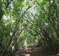 Eucalypt Trail - Accommodation Nelson Bay
