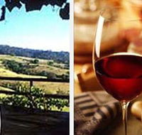 Jasper Valley Wines and Vines Cafe - Accommodation Nelson Bay