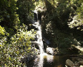 Macquarie Pass National Park - Accommodation Nelson Bay 0