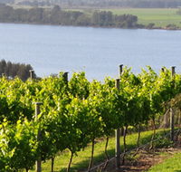 Two Figs Winery - Accommodation Nelson Bay