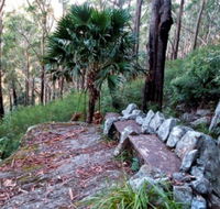 Wodi Wodi Walking Track - Accommodation Nelson Bay