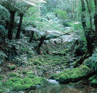 Deua National Park - Accommodation Nelson Bay