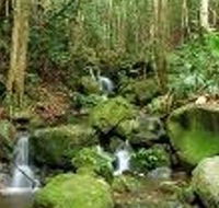 Budderoo National Park - Accommodation Nelson Bay