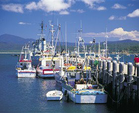 Snug Cove - Accommodation Nelson Bay 0