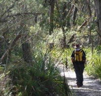 Barren Grounds Nature Reserve - Accommodation Nelson Bay