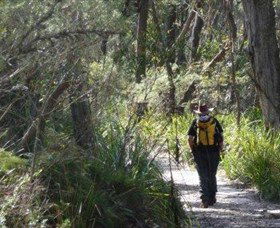 Barren Grounds Nature Reserve - Accommodation Nelson Bay 0